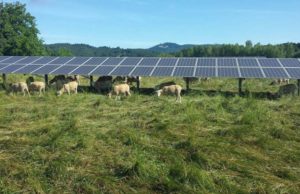 Instalare panouri solare pe teren agricol